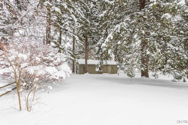 view of yard layered in snow