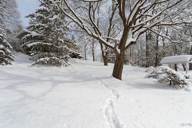 view of yard layered in snow