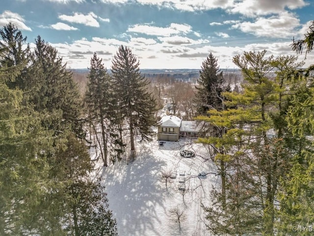 drone / aerial view with a view of trees