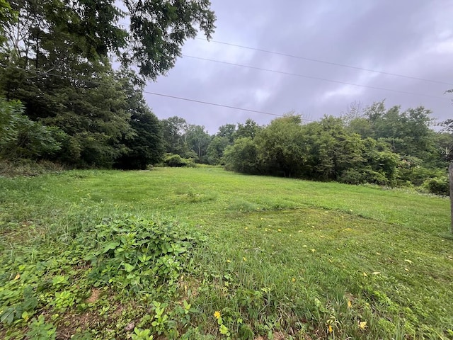 493 Prospect Hill Rd, Catlin, NY 14845 - view of grassy yard featuring a view of trees