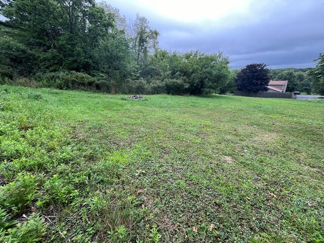 493 Prospect Hill Rd, Catlin, NY 14845 - view of green lawn