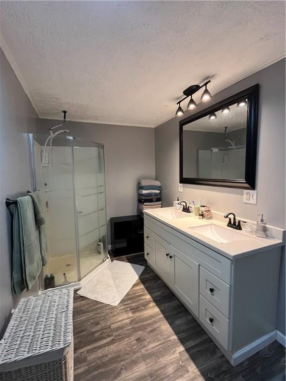 493 Prospect Hill Rd, Catlin, NY 14845 - full bath with a textured ceiling, a stall shower, double vanity, wood finished floors, and rail lighting