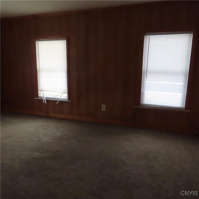 spare room with wood walls, dark carpet, and a wealth of natural light