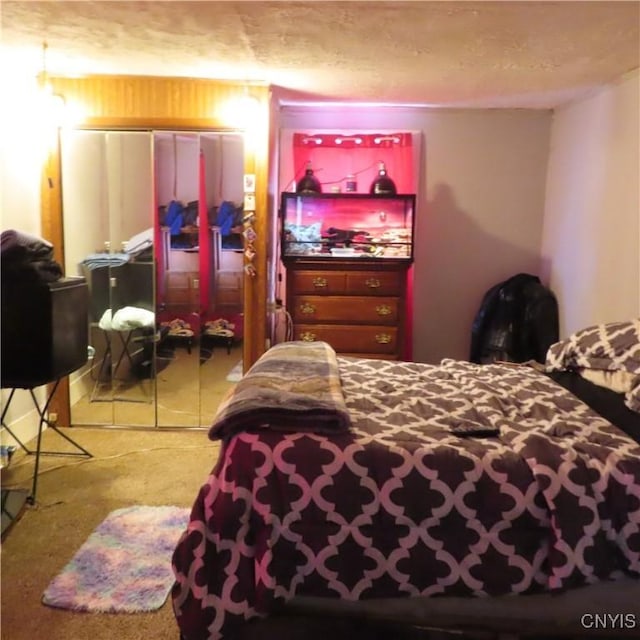 bedroom with a closet and a textured ceiling