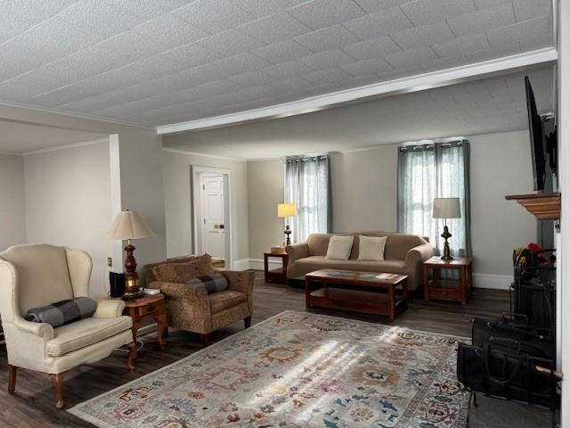 living area with crown molding, dark wood-type flooring, and baseboards