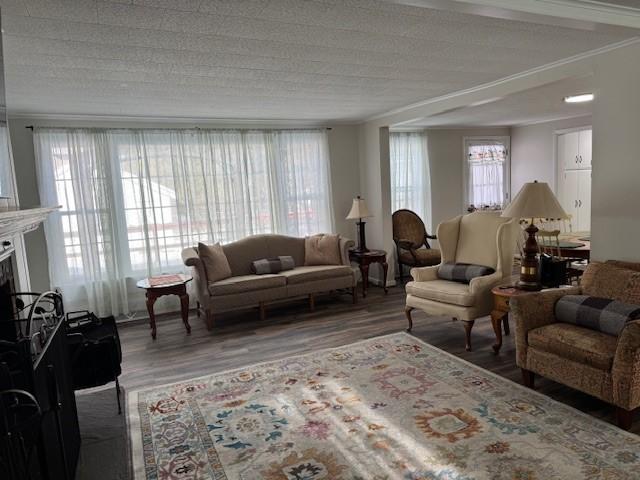 living area featuring a fireplace, a textured ceiling, wood finished floors, and ornamental molding