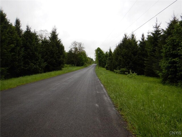 Cheningo Solon Pond Rd, Taylor, NY 13040 - photo 2
