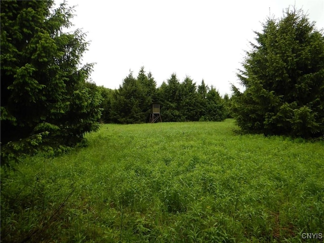 Cheningo Solon Pond Rd, Taylor, NY 13040 - photo 3