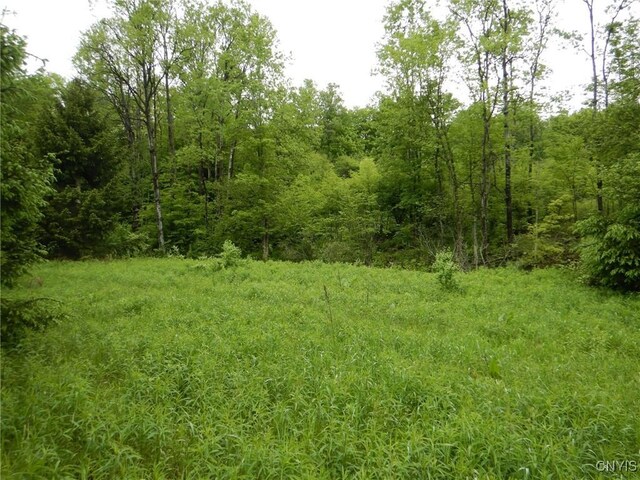 Cheningo Solon Pond Rd, Taylor, NY 13040 - photo 4