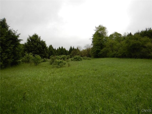 Cheningo Solon Pond Rd, Taylor, NY 13040 - photo 6