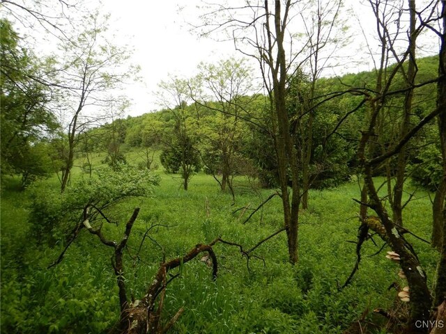 Cheningo Solon Pond Rd, Taylor, NY 13040 - photo 7