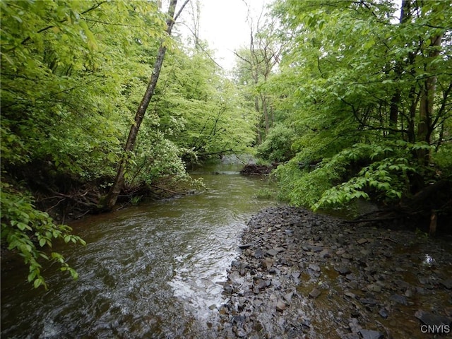 Cheningo Solon Pond Rd, Taylor, NY 13040 - photo 8