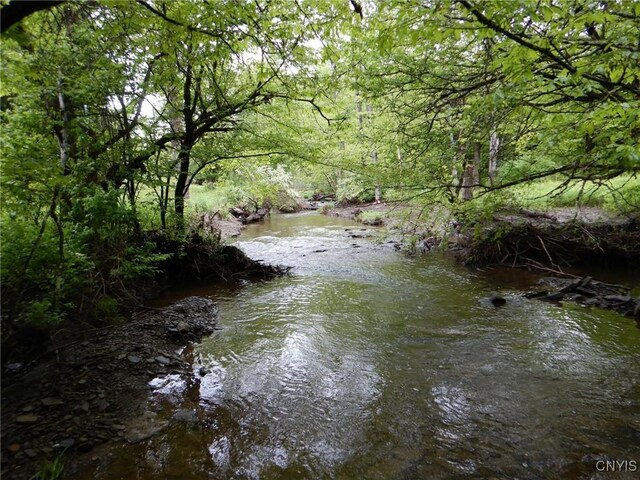 Cheningo Solon Pond Rd, Taylor, NY 13040 - photo 9