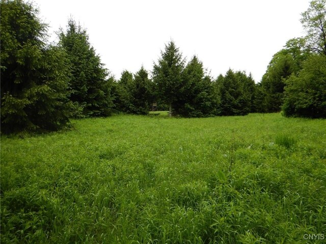 Cheningo Solon Pond Rd, Taylor, NY 13040 - photo 10
