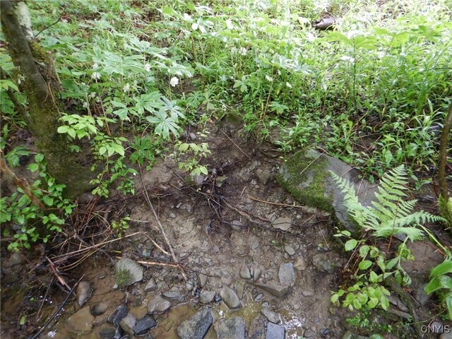 Cheningo Solon Pond Rd, Taylor, NY 13040 - photo 12