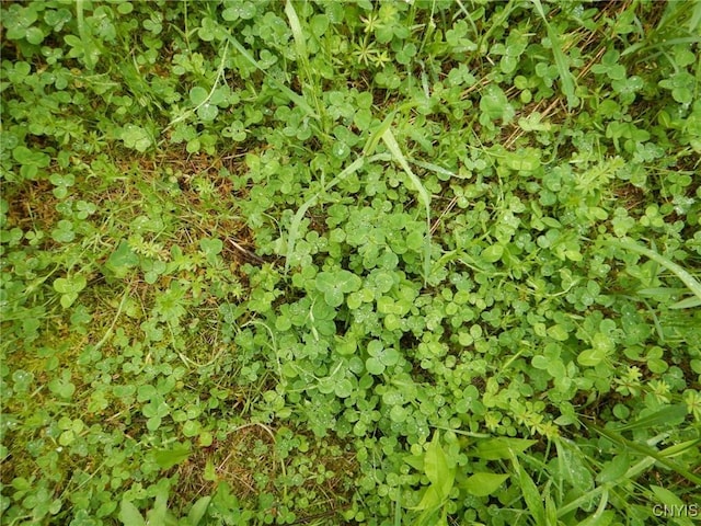 Cheningo Solon Pond Rd, Taylor, NY 13040 - photo 13