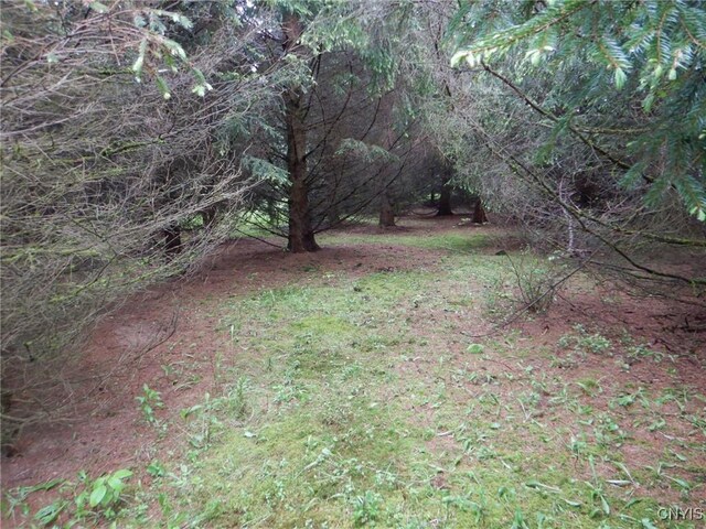 Cheningo Solon Pond Rd, Taylor, NY 13040 - photo 14