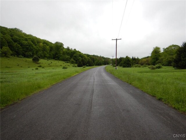 Cheningo Solon Pond Rd, Taylor, NY 13040 - photo 15