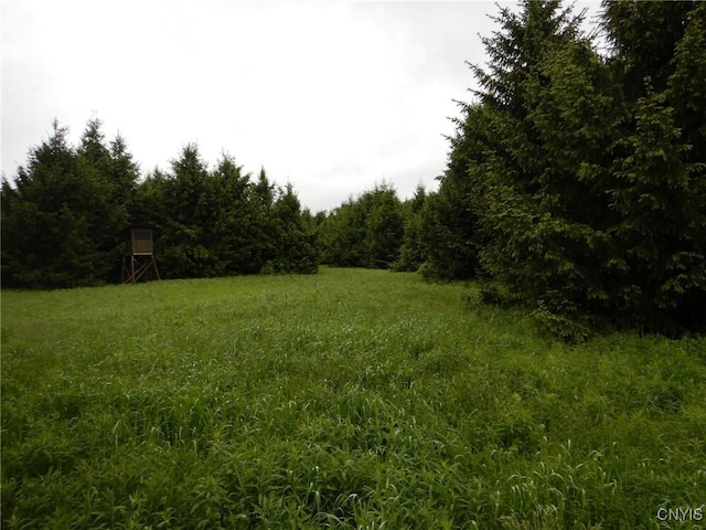 Cheningo Solon Pond Rd, Taylor, NY 13040 - photo 16
