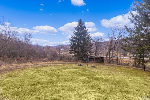 3391 State Route 28, Herkimer, NY 13350 - view of yard