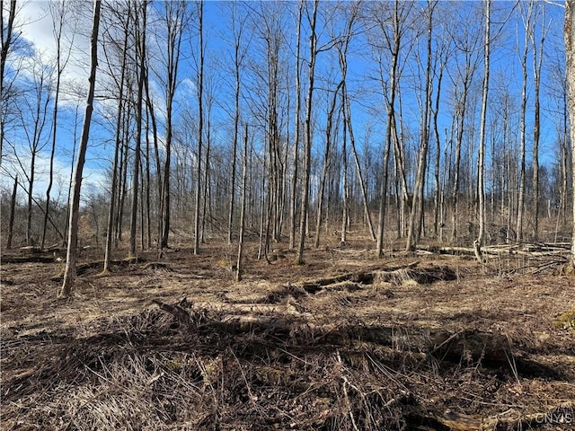 Post Rd, Ripley, NY 14775