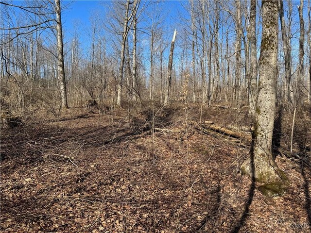 Post Rd, Ripley, NY 14775