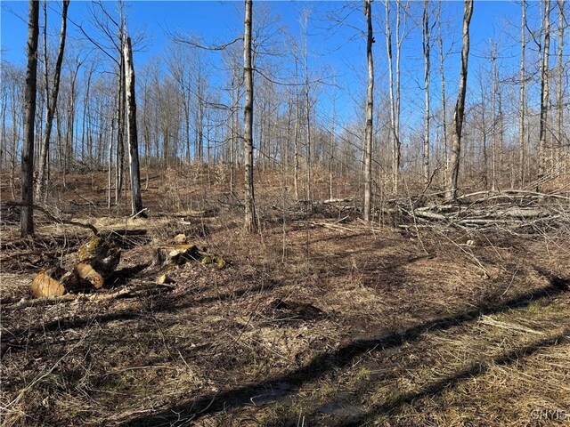 Post Rd, Ripley, NY 14775