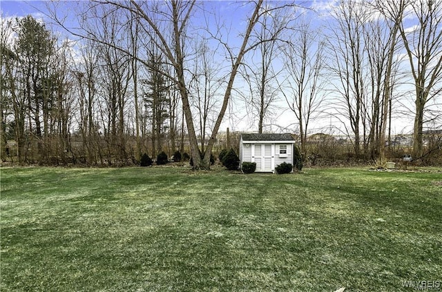 view of yard with a storage shed and an outbuilding