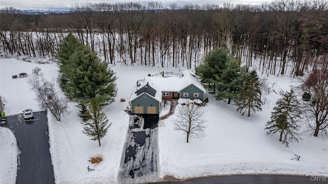 view of snowy aerial view