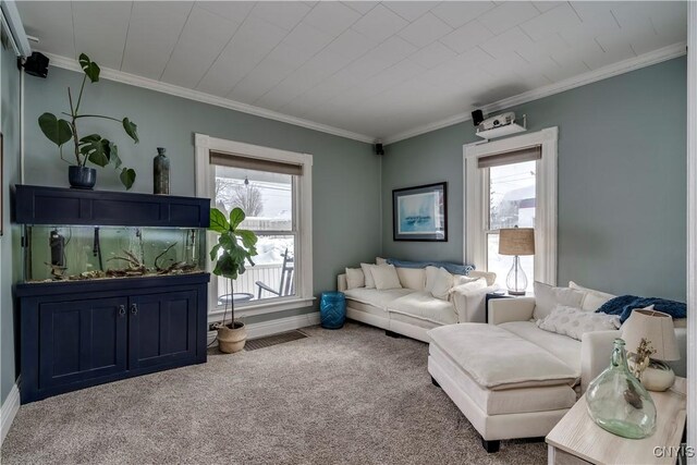 living area featuring ornamental molding, carpet, plenty of natural light, and baseboards