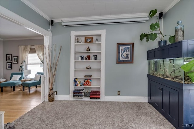 playroom featuring baseboards, carpet floors, and crown molding