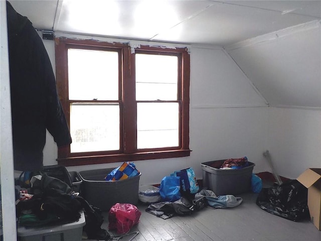 additional living space featuring wood-type flooring and vaulted ceiling