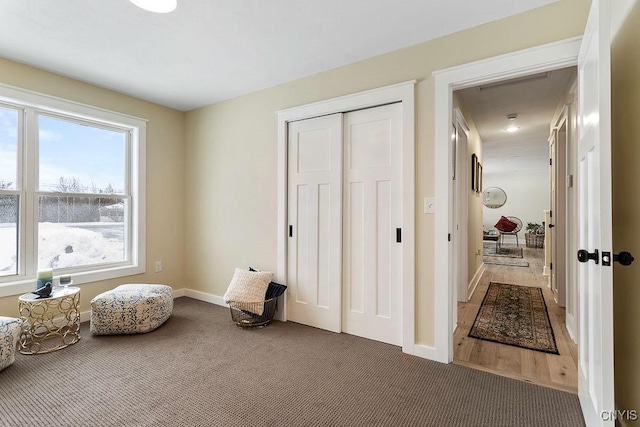 sitting room with carpet and baseboards