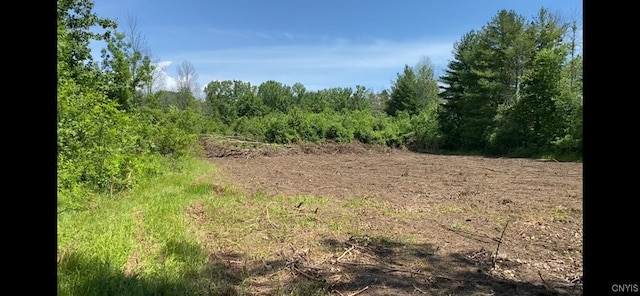 1003 Moore Rd, Sullivan NY, 13082 land for sale