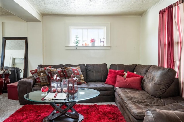 living area featuring a textured ceiling, carpet floors, and crown molding