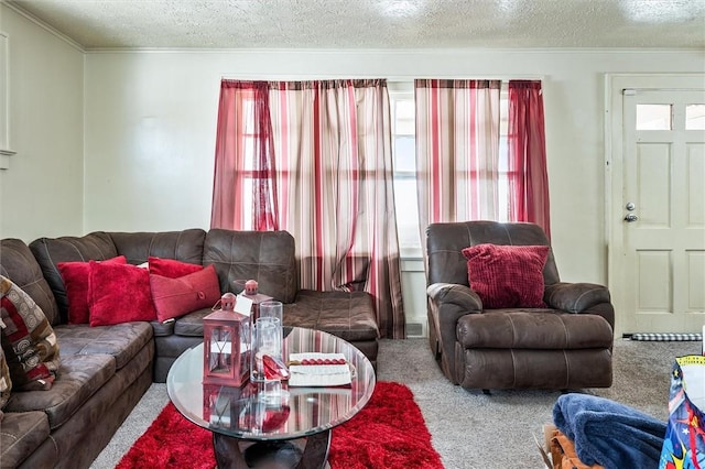 carpeted living area featuring a textured ceiling and plenty of natural light