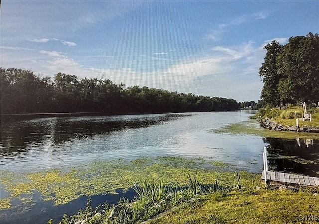 water view featuring a wooded view