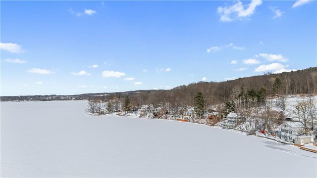 yard covered in snow with a forest view