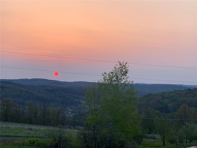 property view of mountains featuring a forest view