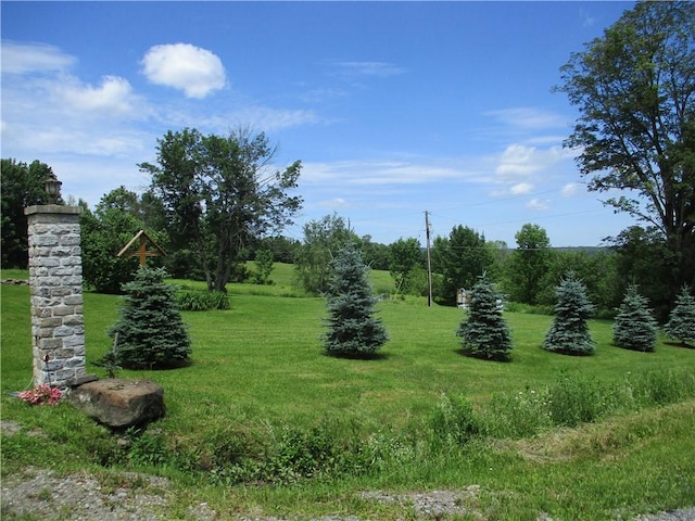 274 Reservoir Hill Rd, Plymouth, NY 13815 - view of green lawn