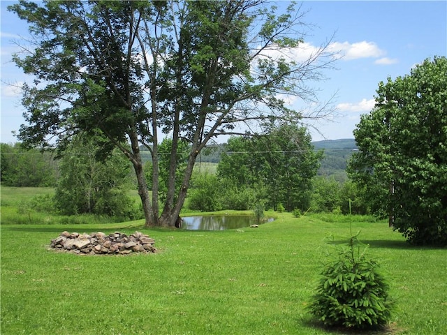 274 Reservoir Hill Rd, Plymouth, NY 13815 - view of grassy yard featuring a water view