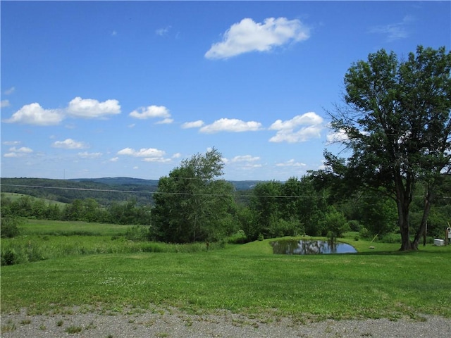274 Reservoir Hill Rd, Plymouth, NY 13815 - view of green lawn with a water view