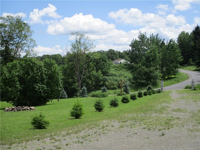 274 Reservoir Hill Rd, Plymouth, NY 13815 - view of grassy yard