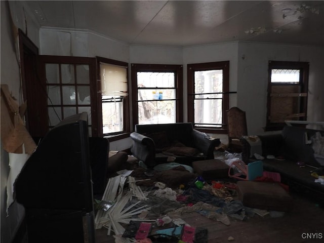 misc room with crown molding and plenty of natural light