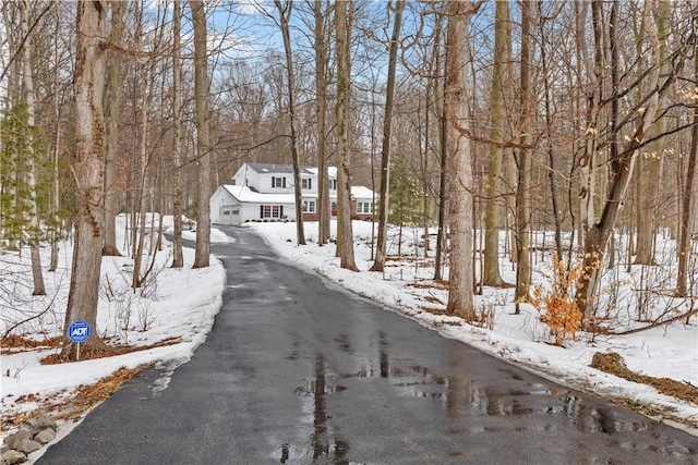 view of road featuring aphalt driveway