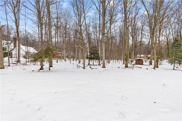 view of snowy yard