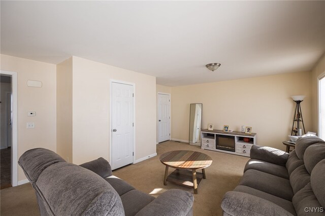 living area with baseboards and carpet flooring