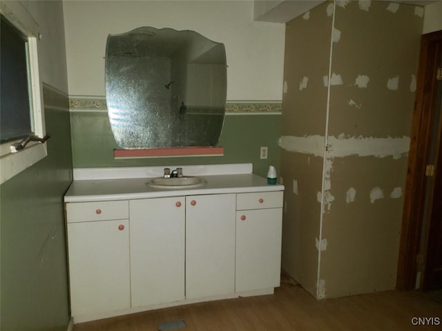 bathroom featuring wood finished floors and a sink