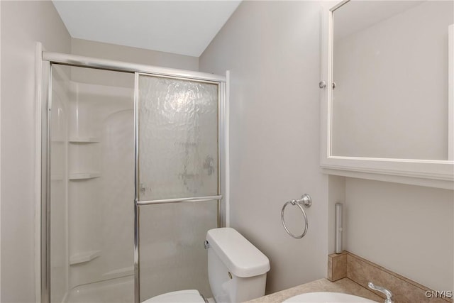 full bathroom featuring a sink, a shower stall, and toilet