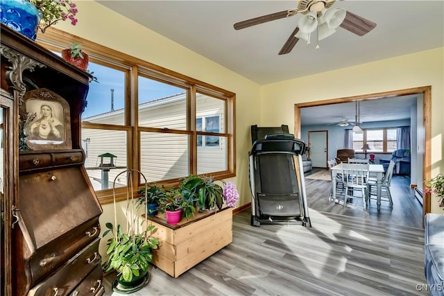 exercise room with a ceiling fan and wood finished floors